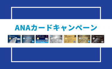 陸マイラーに人気のanaカードおすすめランキング 比較して最強を決定 金融lab