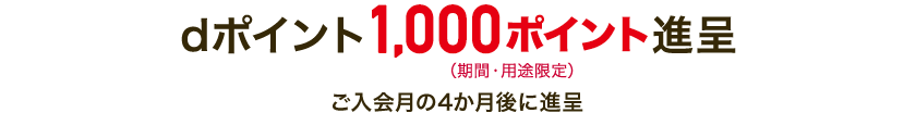 dポイント1000ポイント進呈