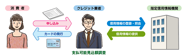 支払可能見込額の調査
