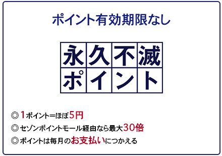 セゾンカードのポイント活用